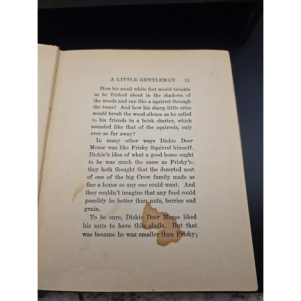 1918 The Tale of Dickie Deer‎ Mouse -Arthur Scott Bailey-Sleepy Time Tales